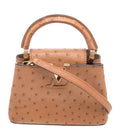 Louis Vuitton Capucines Mini Bag