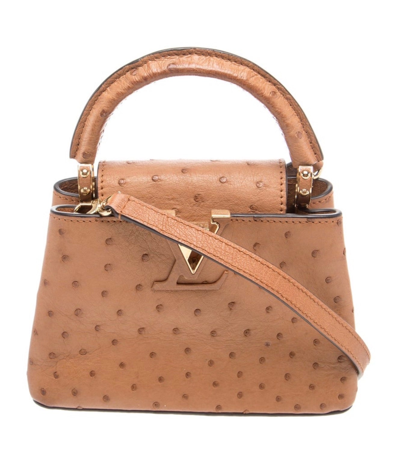 Louis Vuitton Capucines Mini Bag