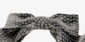 Chanel Bow